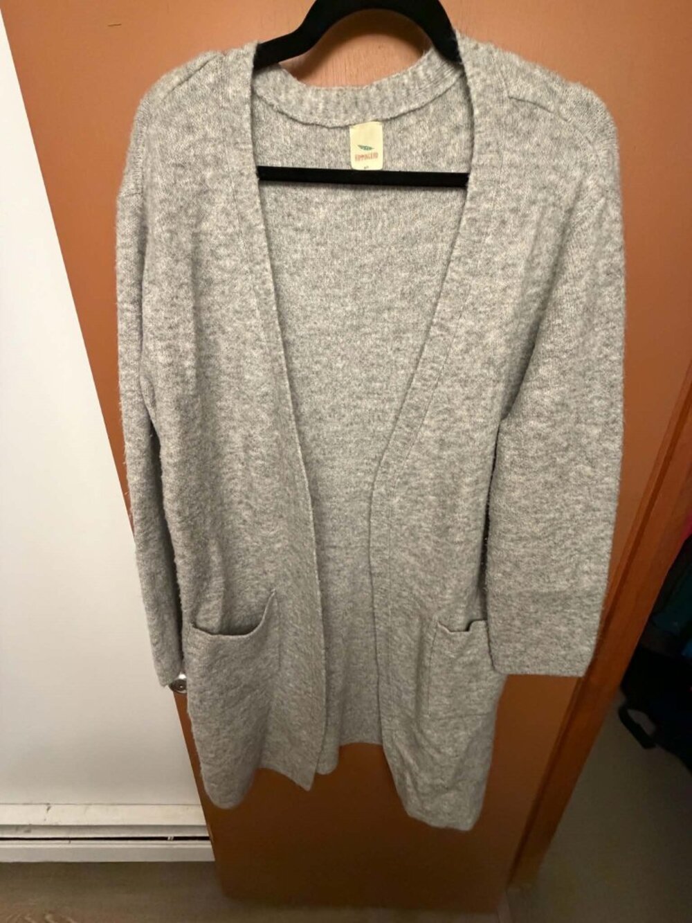 Hummingbird Oversized Cardigan